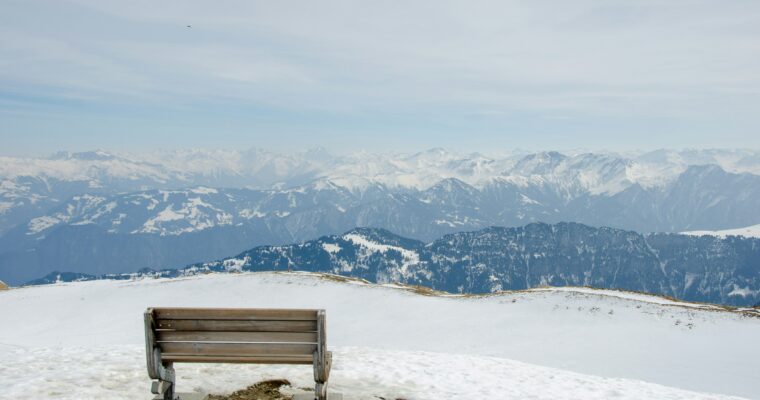 Peak Reads and Playlists: Dulce Maria Scott