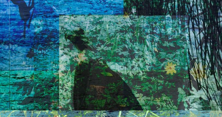 Why Plants and Animals?